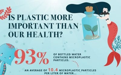 Plastic Pollution in the Ocean: All You Need to Know + Infographic
