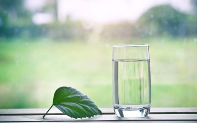 Distilled Water vs Purified Water: The Ultimate Guide